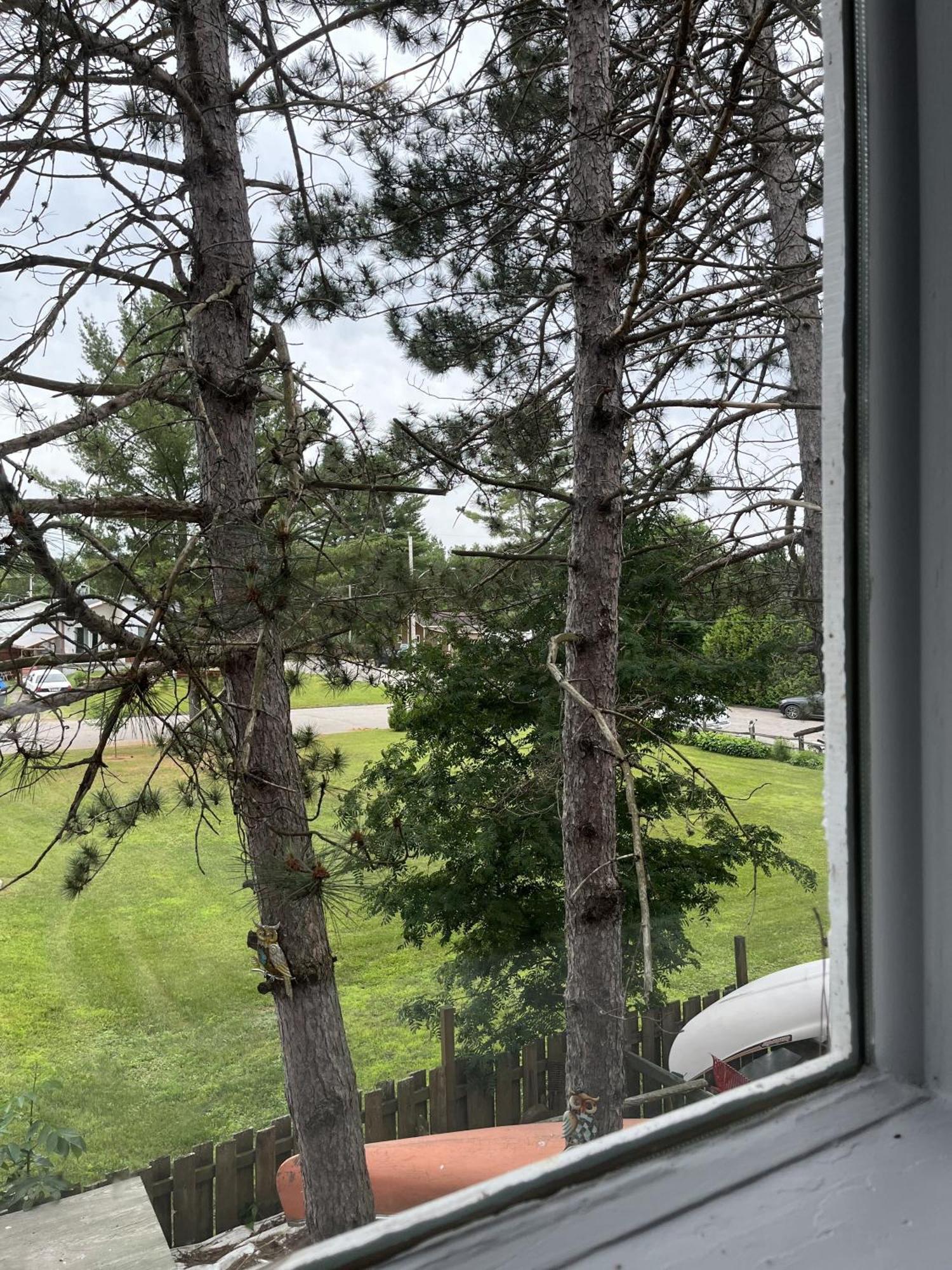 Auberge De Ferme-Neuve Lac-Saint-Paul المظهر الخارجي الصورة